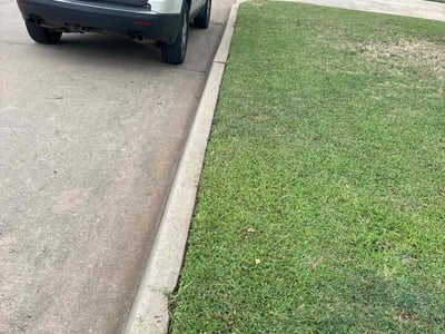 Lawn Care service in Hackensack, 07601