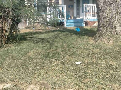 Lawn Care service in Hackensack, 07601