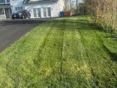 Lawn Care service in Purcellville, 20132
