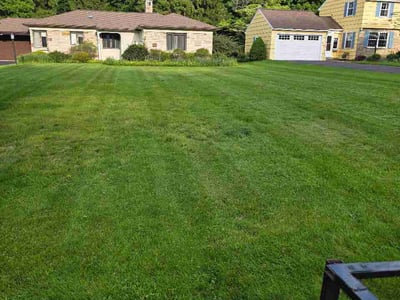Lawn Care service in Pittsford, 14534