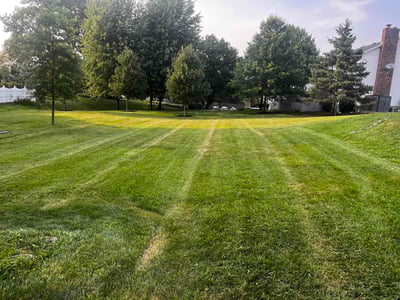Lawn Care service in Pittsford, 14534