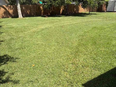 Lawn Care service in Saint Simons Island, 31522