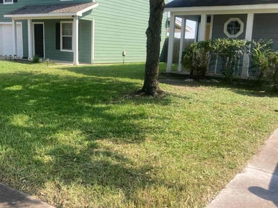 Lawn Care service in Saint George, 84770