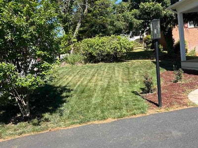 Lawn Care service in Fort Washington, 23936