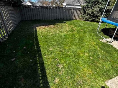 Lawn Care service in Maumee, 43537