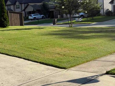 Lawn Care service in Opelika, 36801