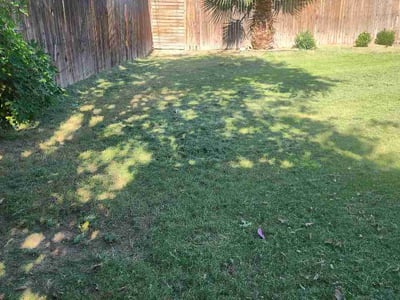 Lawn Care service in ,