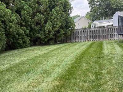 Lawn Care service in Vienna, 22180