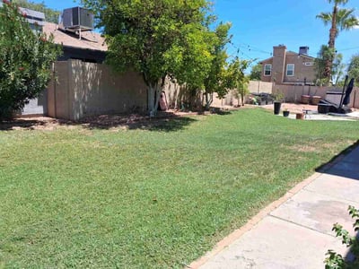 Lawn Care service in Chandler, 85225