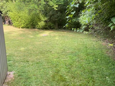 Lawn Care service in Vienna, 22180