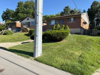 Lawn Care service in Beckley, 25813