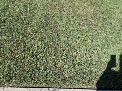 Lawn Care service in Spring Branch, 78070