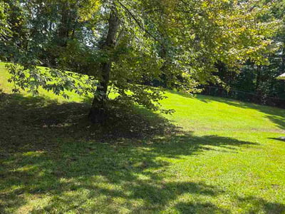 Lawn Care service in Anniston, 36201