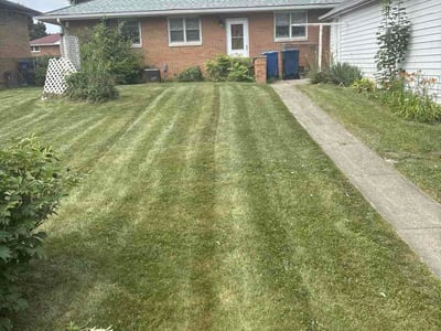 Lawn Care service in Fox Lake, 60020