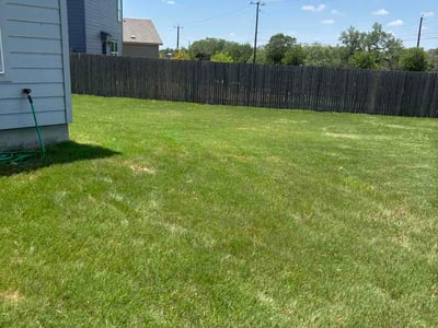 Lawn Care service in Stone Oak, 78258