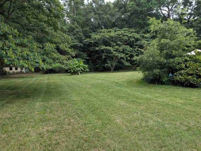 Lawn Care service in Ruther Glen, 22546