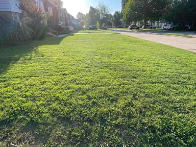 Lawn Care service in Guthrie, 73044