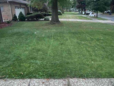 Lawn Care service in Grand Island, 14072