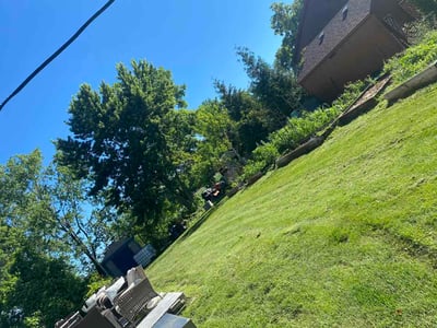 Lawn Care service in Orland Park, 60462