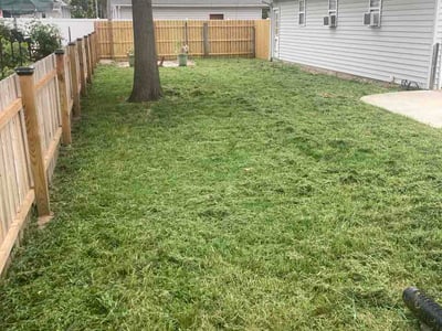 Lawn Care service in Highland, 62249