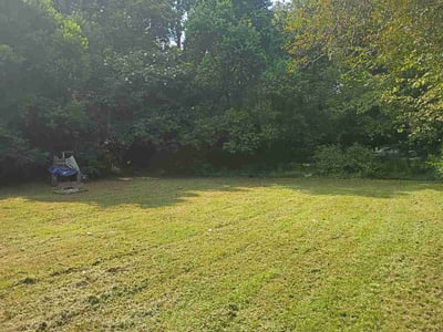 Lawn Care service in Avondale, 85323