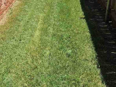 Lawn Care service in Harrah, 73045