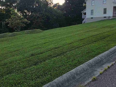 Lawn Care service in Weirton, 26062