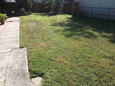 Lawn Care service in Weirton, 26062