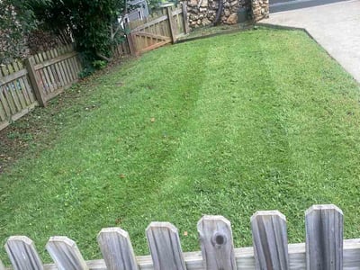 Lawn Care service in Oneonta, 35121