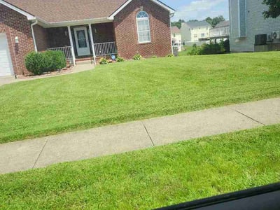 Lawn Care service in Elizabethtown, 42701