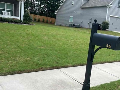 Lawn Care service in Temple, 30179
