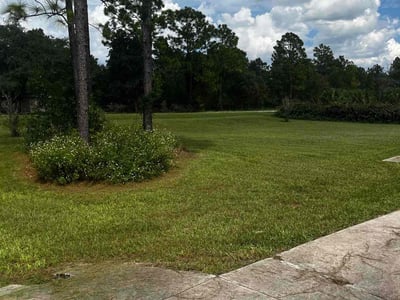 Lawn Care service in Mesa, 85201