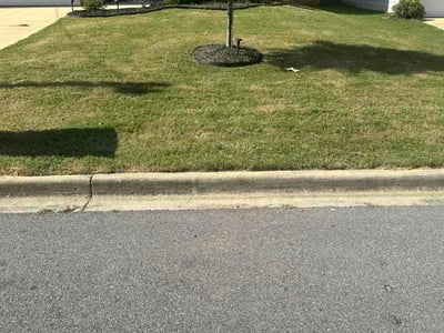 Lawn Care service in Birmingham, 35203