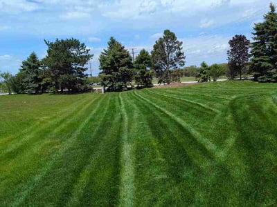 Lawn Care service in Frankfort, 60423