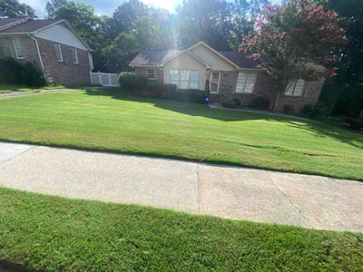 Lawn Care service in Homewood, 35209