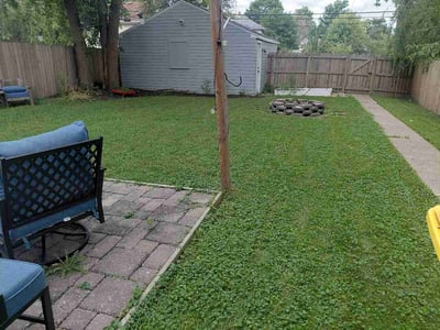 Lawn Care service in Brainerd, 56401