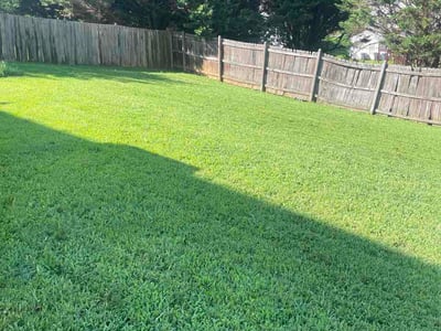 Lawn Care service in Suwanee, 30024