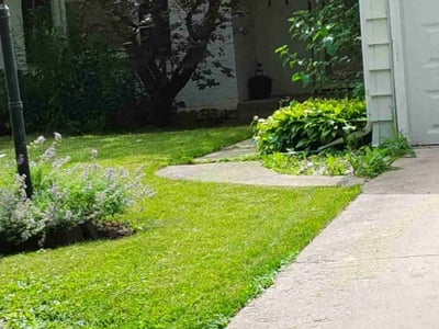 Lawn Care service in Arlington Heights, 60004
