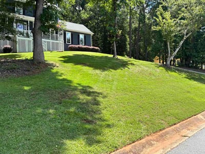 Lawn Care service in Fayetteville, 30214