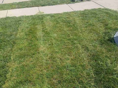 Lawn Care service in Carbondale, 62901