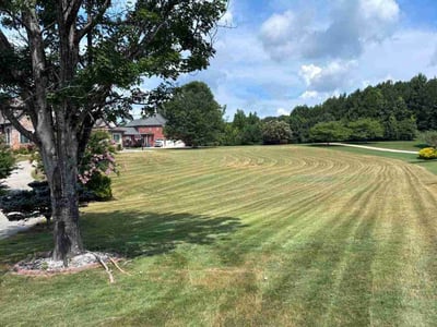 Lawn Care service in Fayetteville, 30214