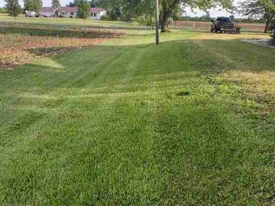 Lawn Care service in Monroe, 48161