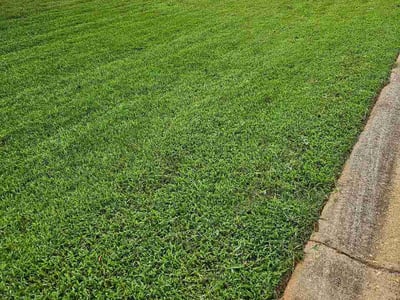 Lawn Care service in Winder, 30680