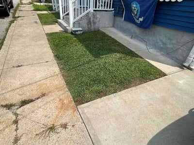 Lawn Care service in Lincoln, 02865
