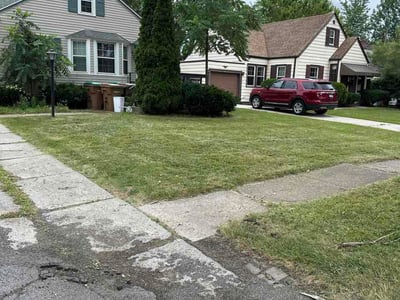 Lawn Care service in Williamsville, 14221