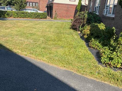 Lawn Care service in Williamsville, 14221