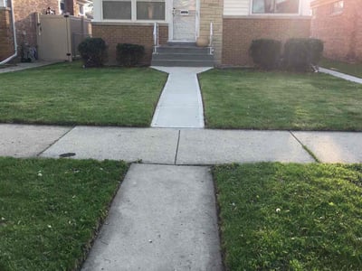 Lawn Care service in Elmhurst, 60126