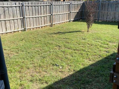 Lawn Care service in Cranston, 02910