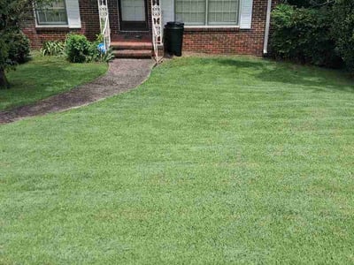 Lawn Care service in Pelham, 35124