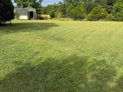 Lawn Care service in Middletown, 02842